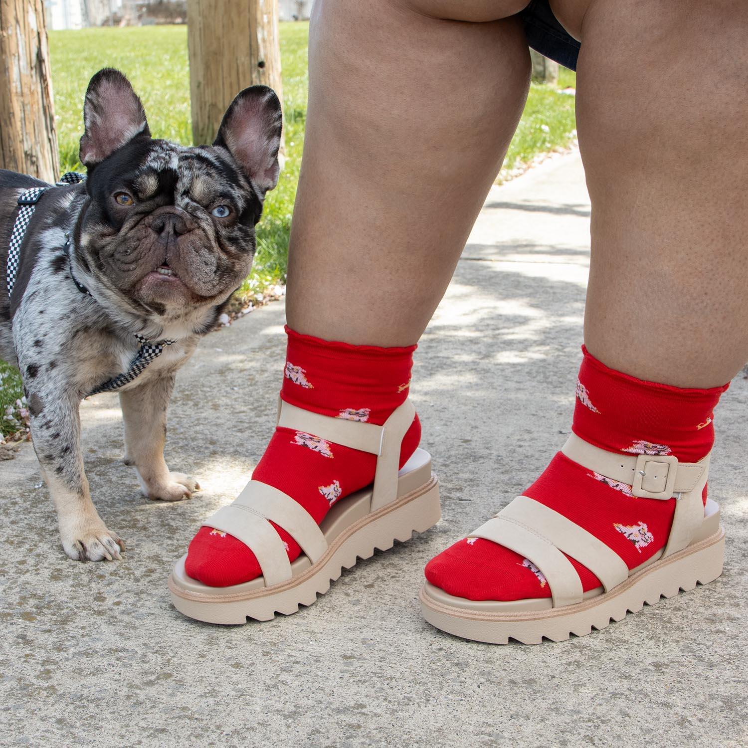 Bamboo Ankle Socks - Woof - Image 12