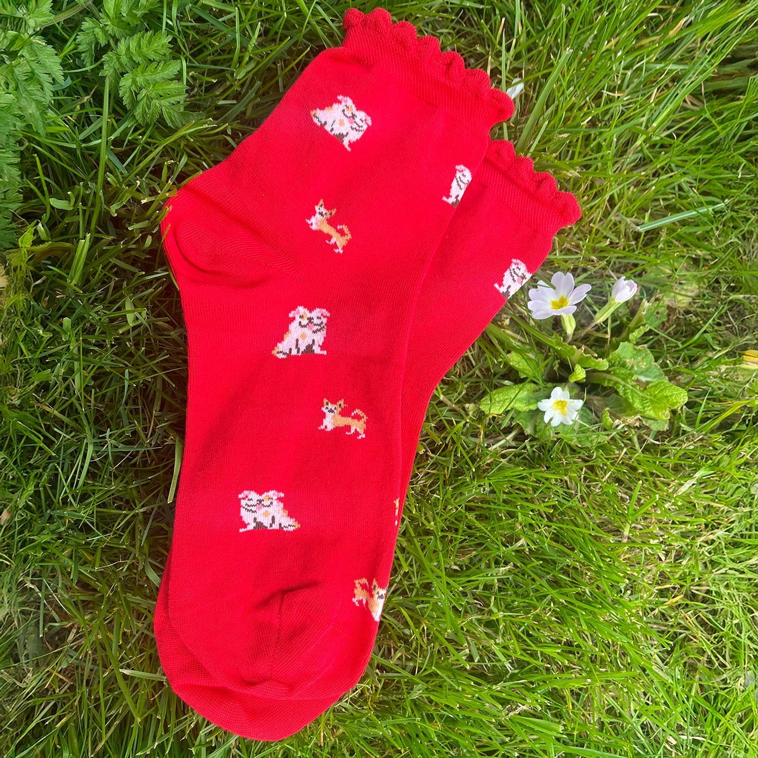 Bamboo Ankle Socks - Woof - Image 5