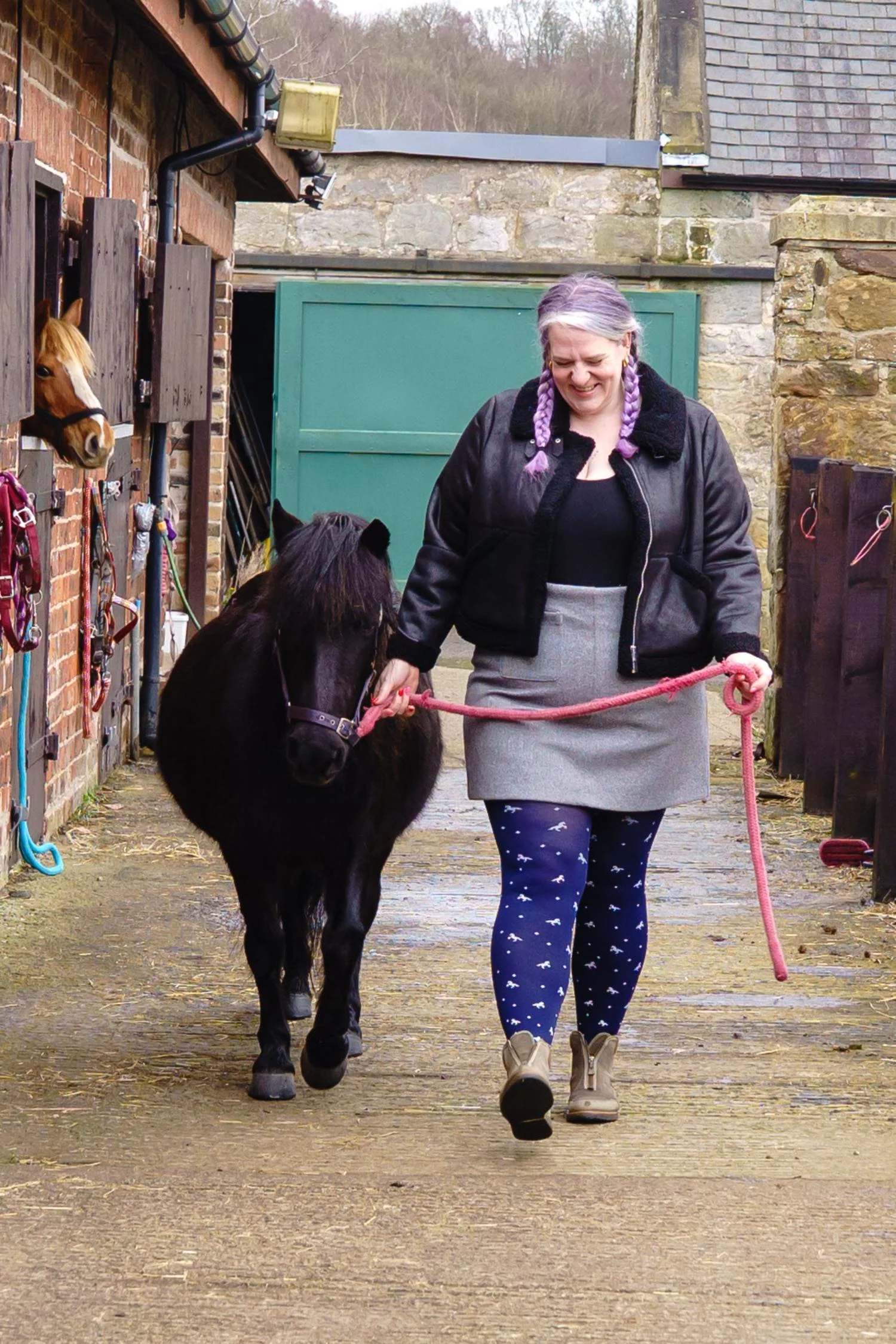 80 Denier Opaque Tights - Dinky Horses - Image 8