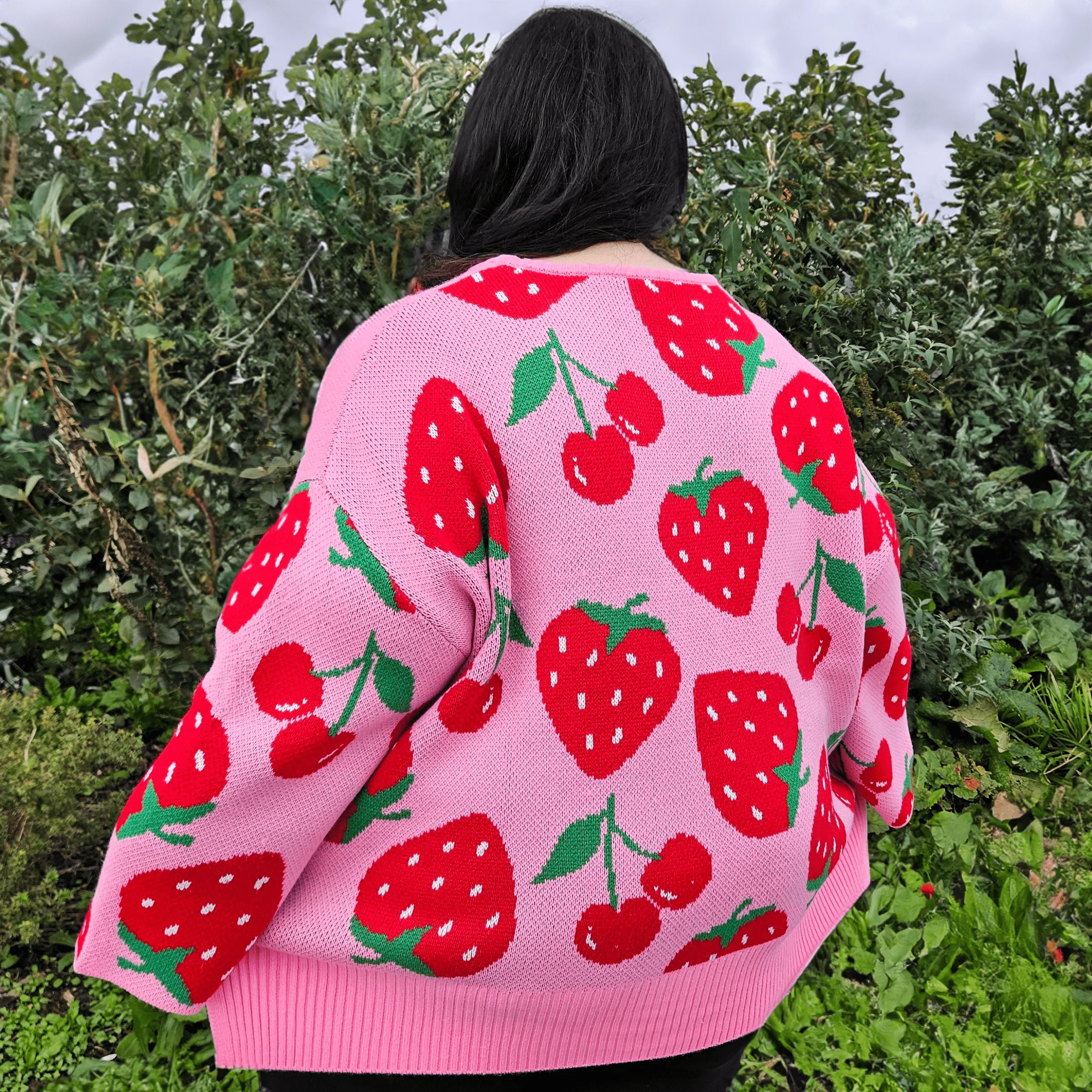 Fruity Jumper - Image 9