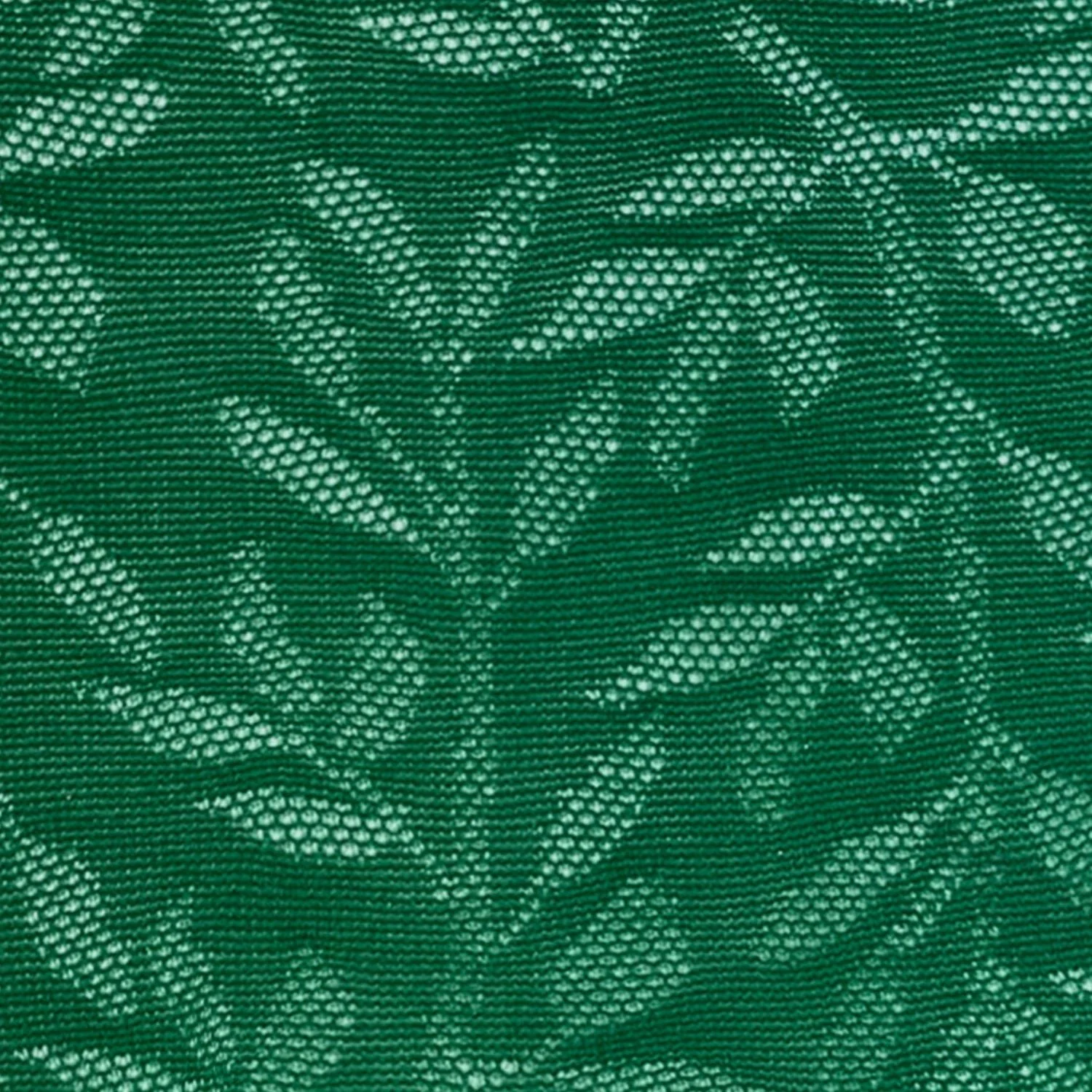 Jurassic Jungle - Image 11