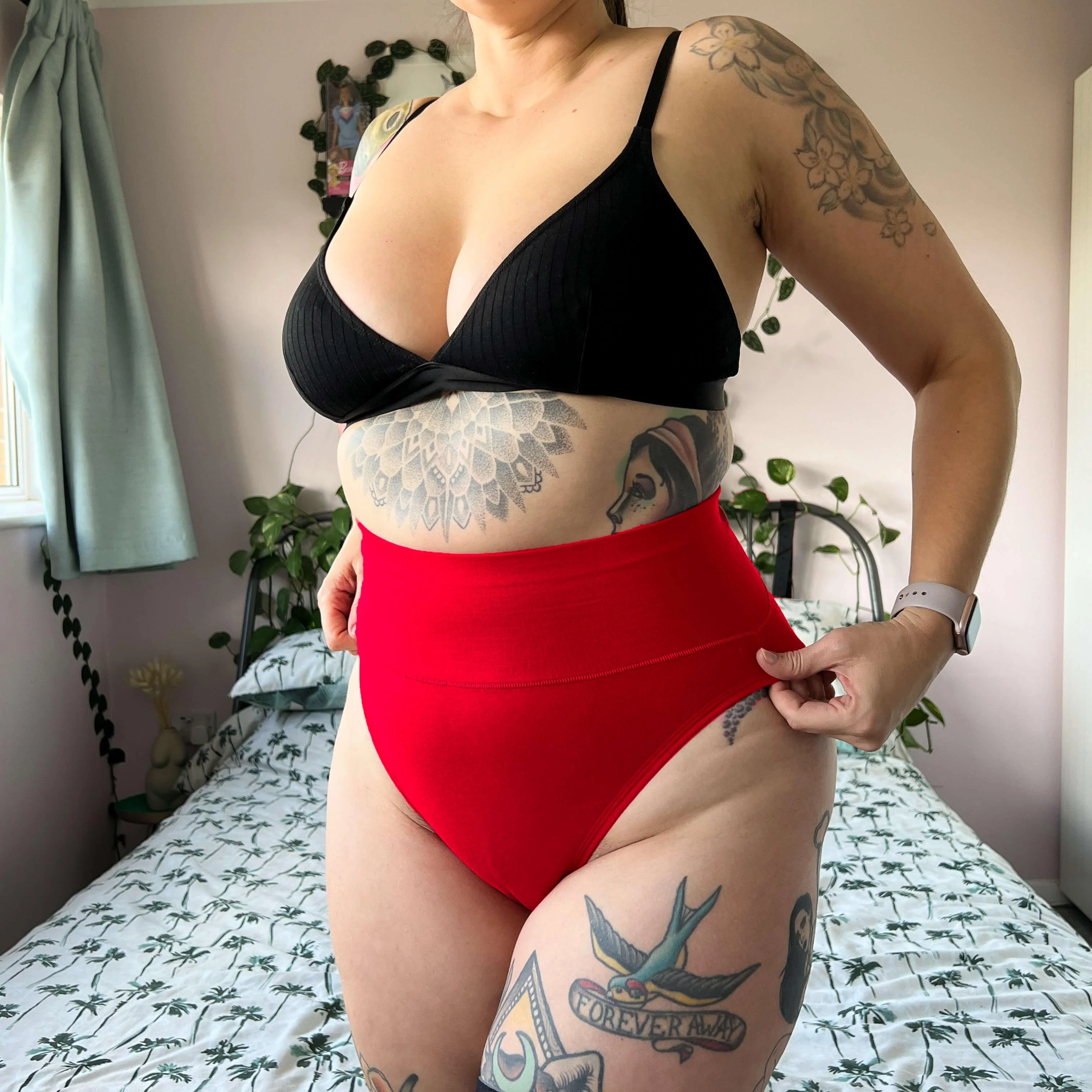 Organic Cotton Super High Leg Knickers - Lobster - Image 3