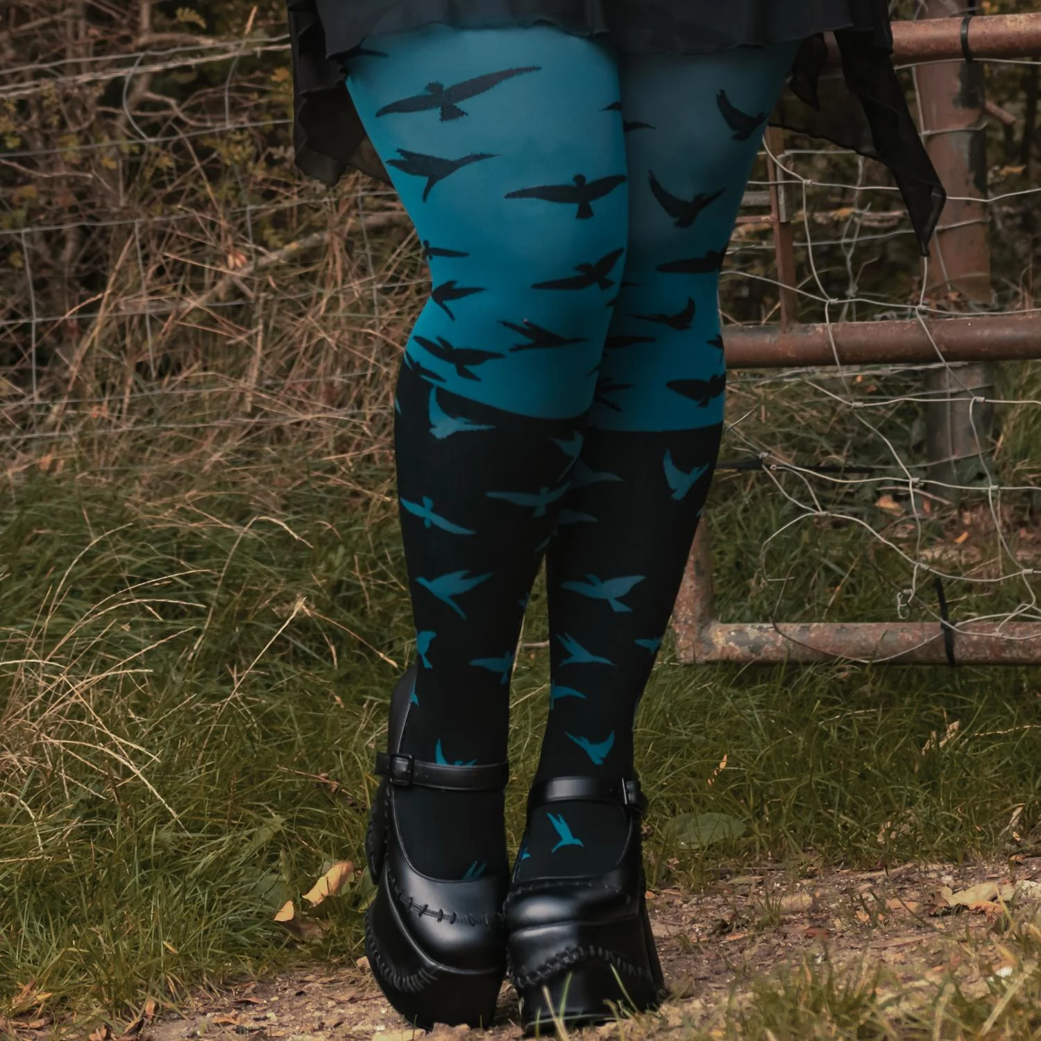 The Birds 80 Denier Tights - Aurora - Image 3