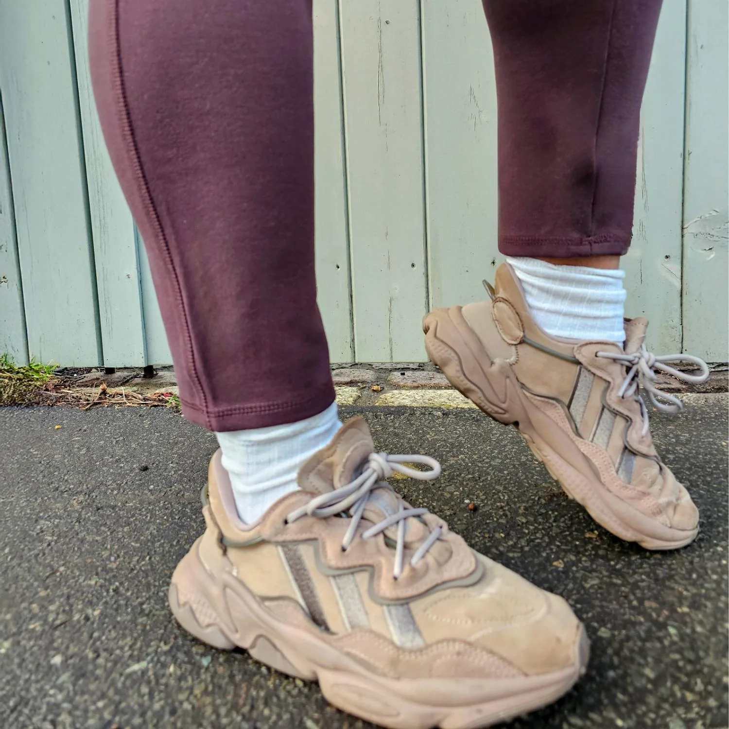 Squat Proof Leggings - Bear - Image 20